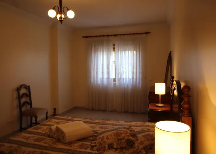 T1 Da Rocha D Quixote B 波尔蒂芒